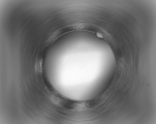 X0000066950118200603271217