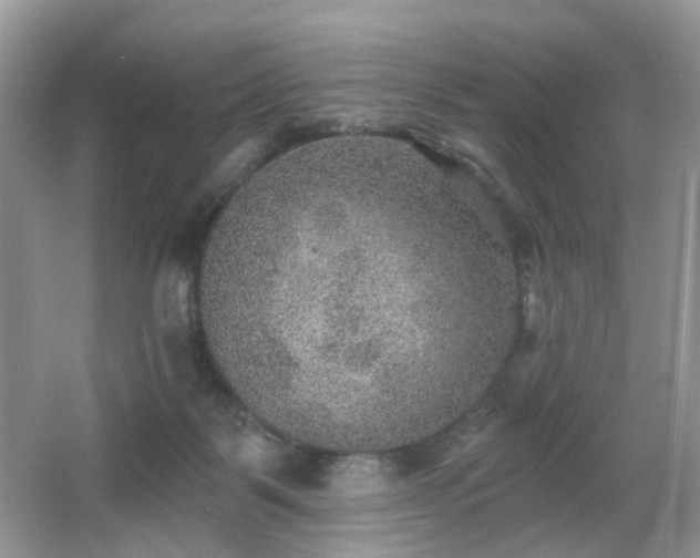 X0000066950123200603271217