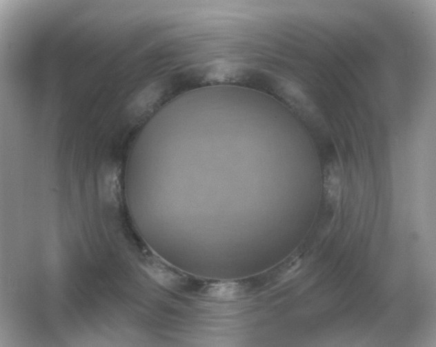 X0000066950127200603271217