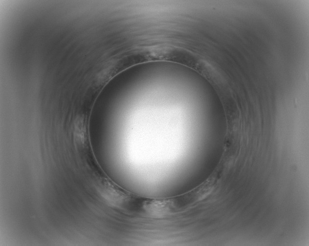 X0000066950129200603271217