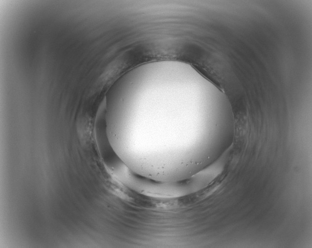 X0000066950141200603271217