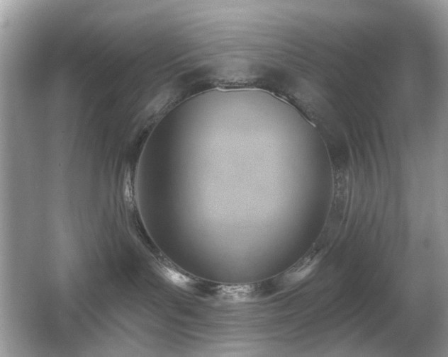 X0000066950143200603271217