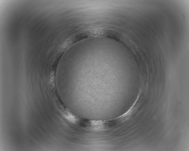 X0000066950144200603271217