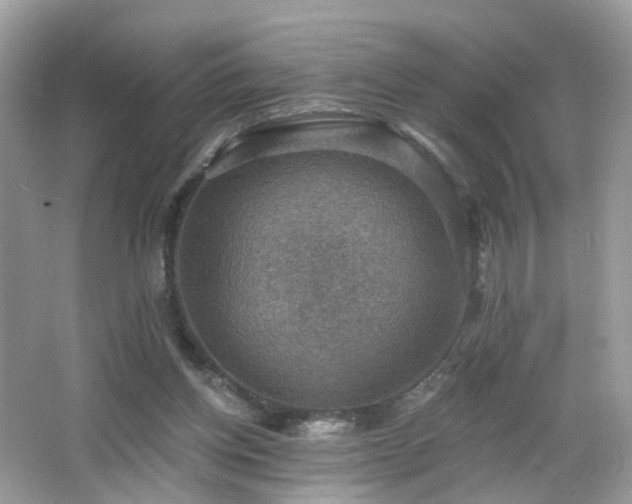 X0000066950158200603271216
