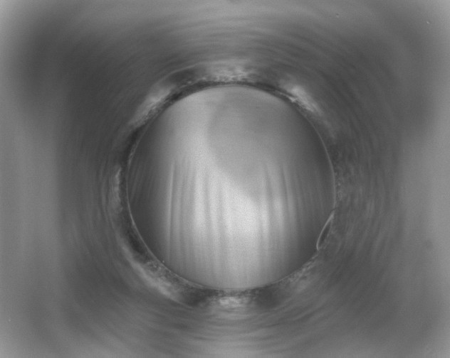 X0000066950163200603271216