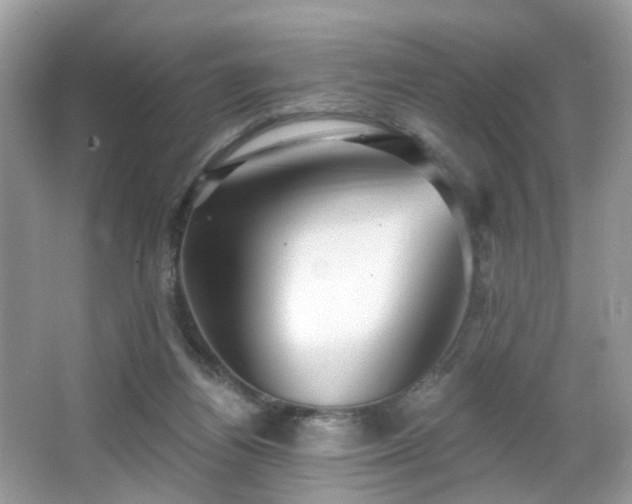 X0000066950164200603271216