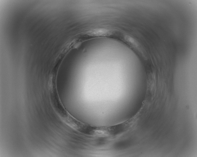 X0000066950167200603271216