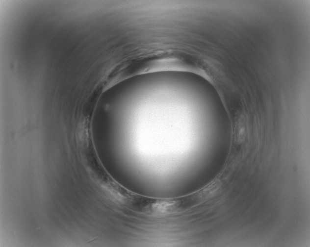 X0000066950172200603271216