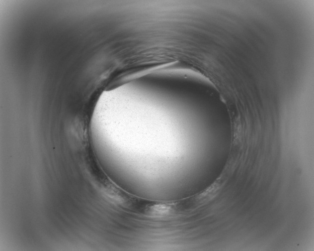 X0000066950176200603271216