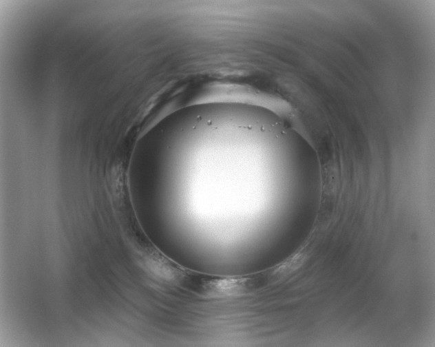 X0000066950184200603271216