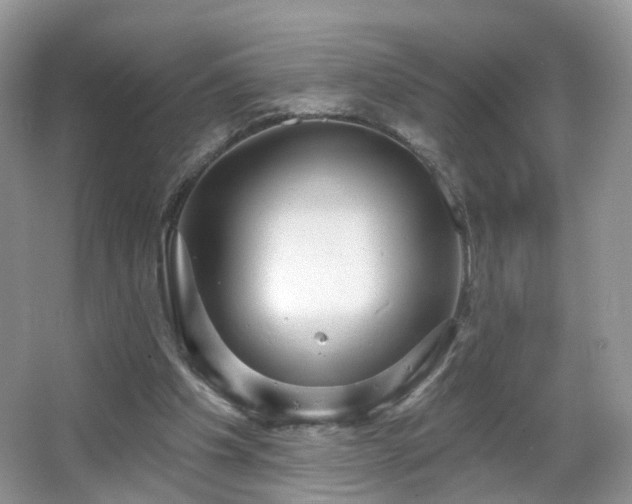 X0000066950201200603271216