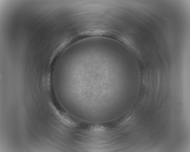 X0000066950206200603271215