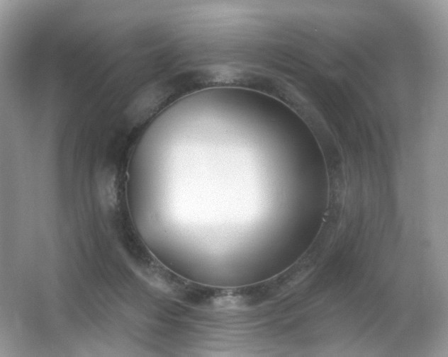 X0000066950216200603271215