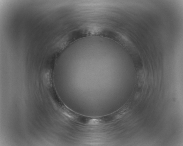 X0000066950222200603271215