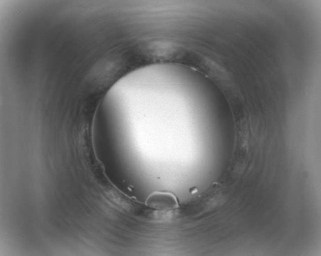 X0000066950225200603271215