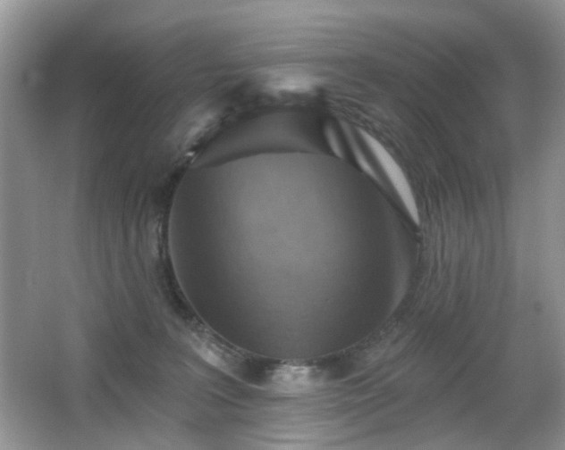 X0000066950227200603271215