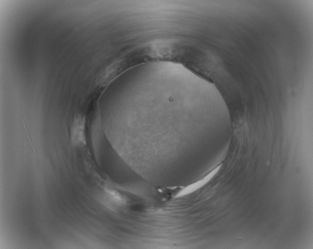 X0000066950233200603271215