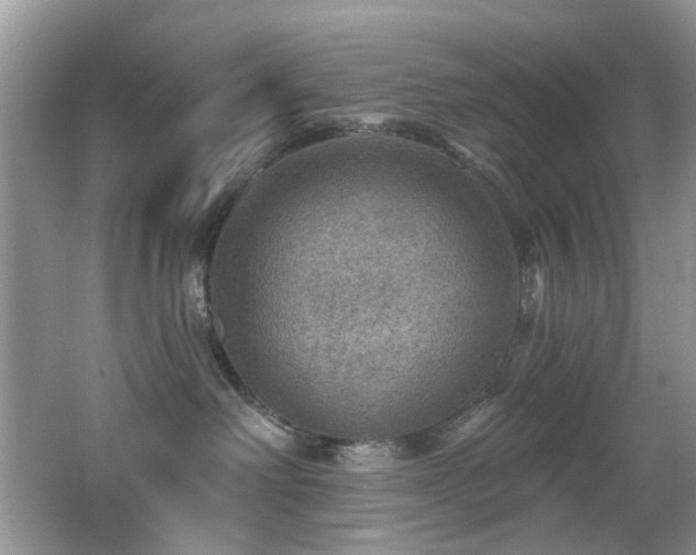 X0000066950238200603271215