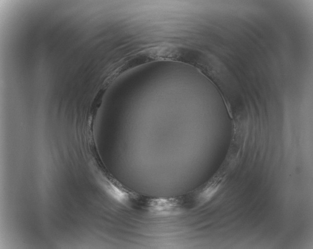 X0000066950239200603271215