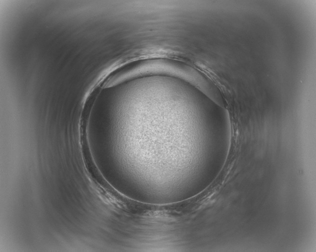 X0000066950244200603271214