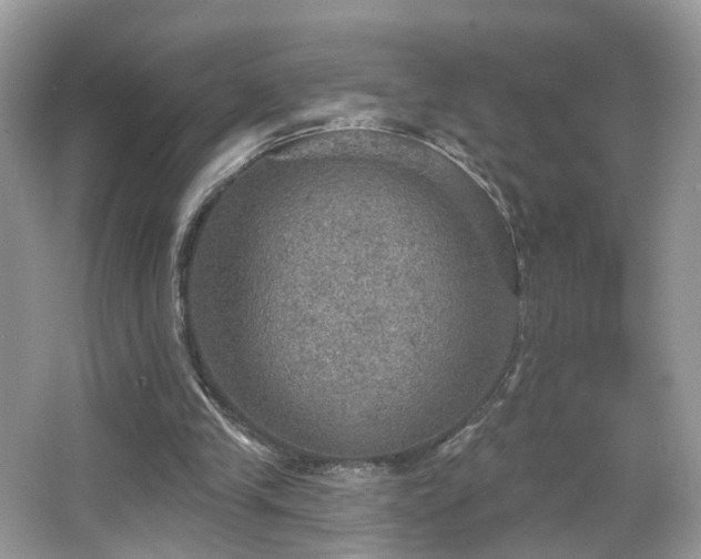 X0000066950245200603271214