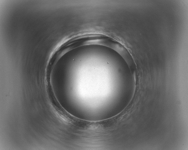 X0000066950248200603271214