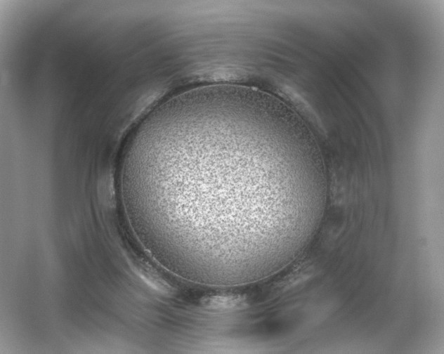 X0000066950251200603271214
