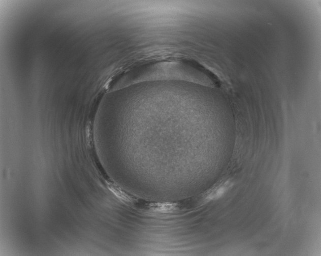 X0000066950288200603271215