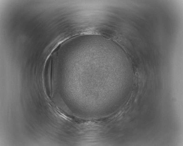 X0000066950290200603271214