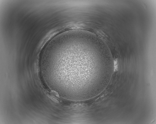 X0000066950291200603271214