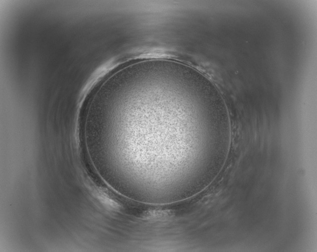 X0000066950296200603271214