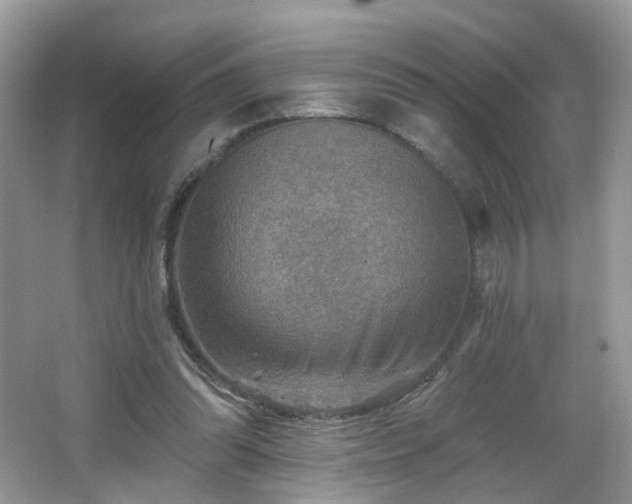 X0000066950302200603271214
