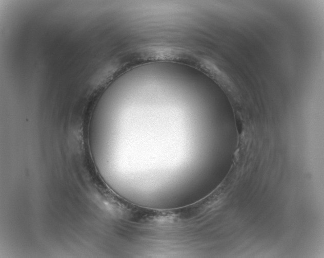X0000066950306200603271214