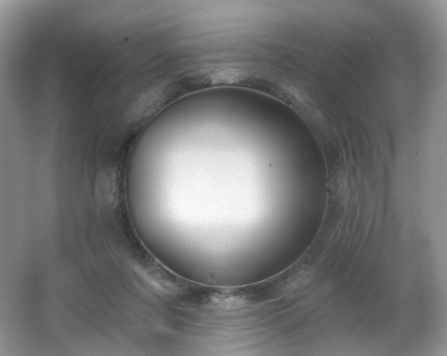 X0000066950311200603271214