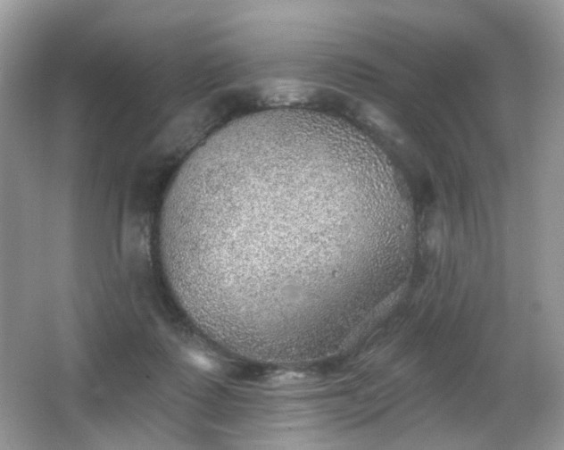 X0000066950315200603271214