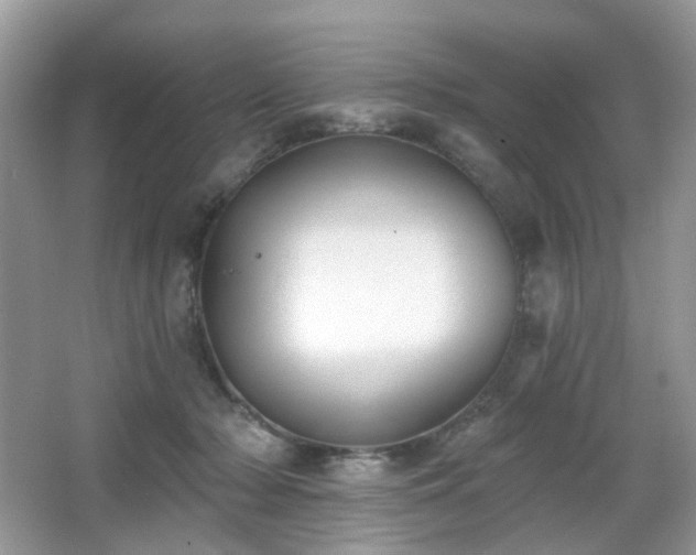 X0000066950318200603271213
