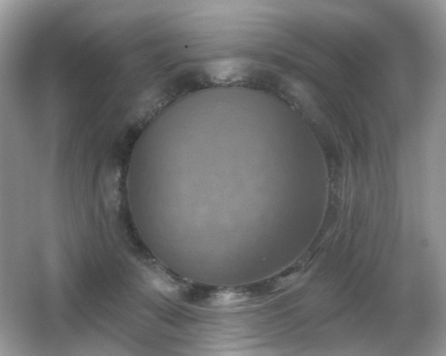 X0000066950319200603271213