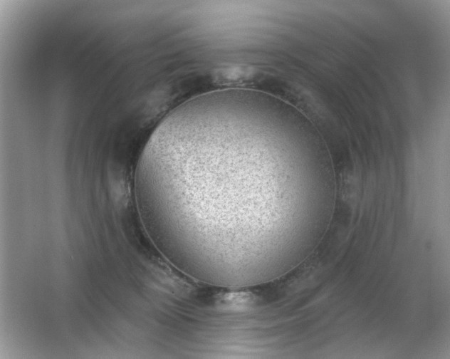 X0000066950324200603271213