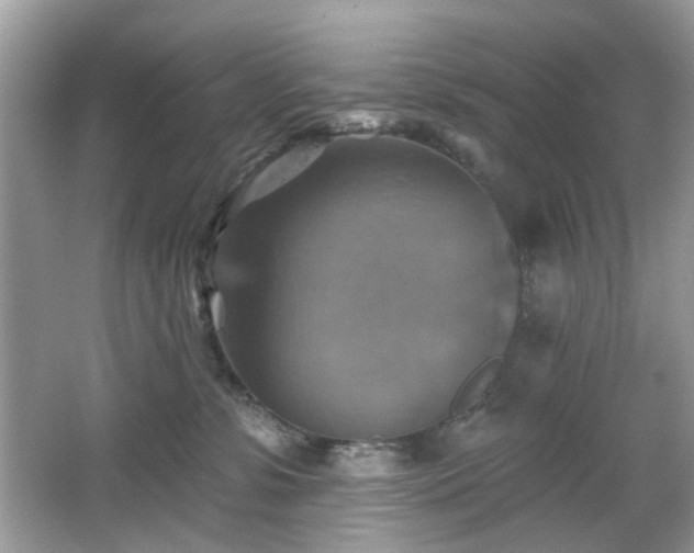 X0000066950331200603271213
