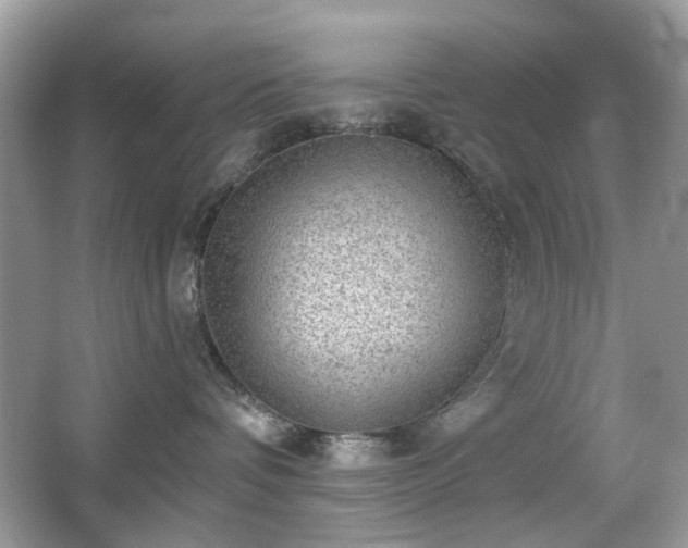 X0000066950336200603271213