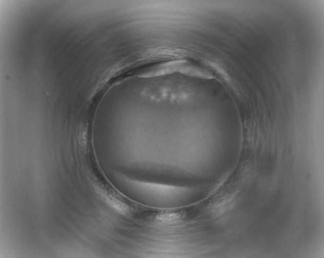 X0000066950357200603271213