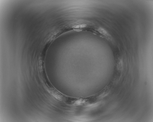 X0000066950366200603271213