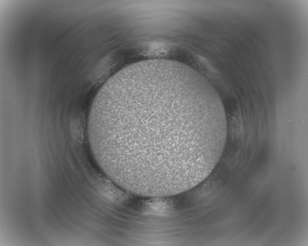 X0000066950370200603271213