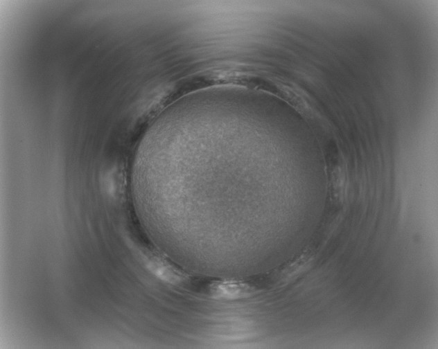 X0000066950372200603271213