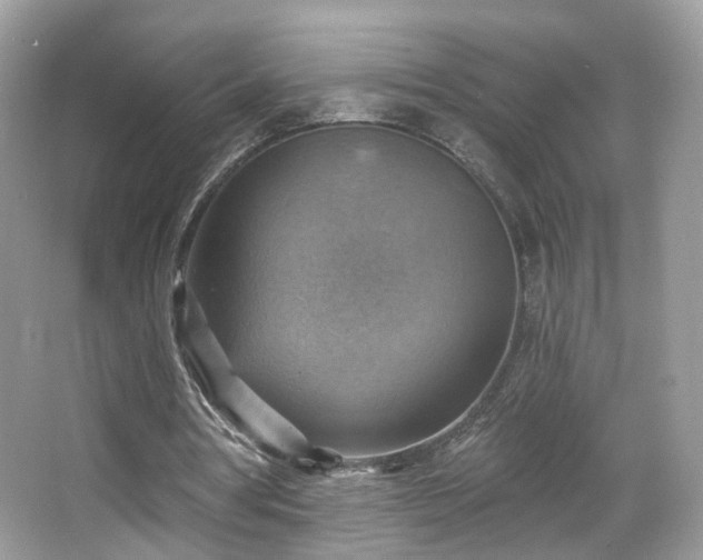 X0000066950386200603271212