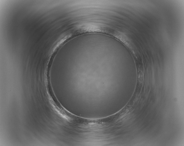 X0000066950390200603271212
