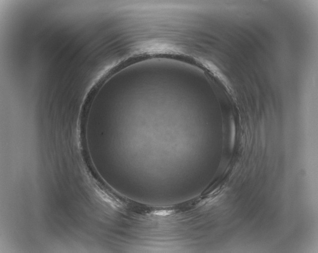 X0000066950391200603271212