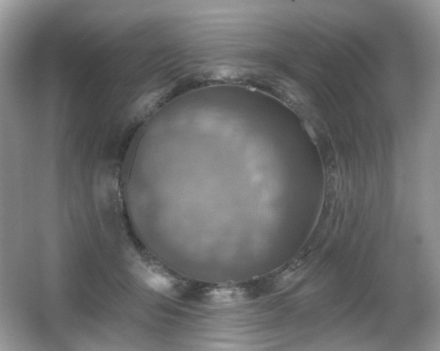 X0000066950415200603271212