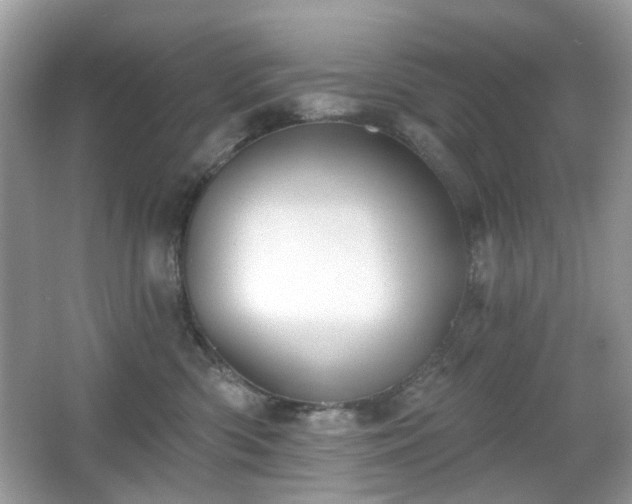X0000066950426200603271212