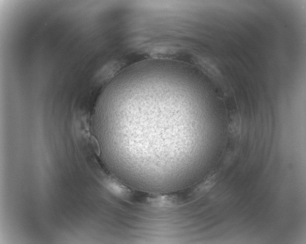 X0000066950430200603271212